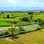 Pemandangan desa Bantar dengan ladang hijau dan pegunungan.